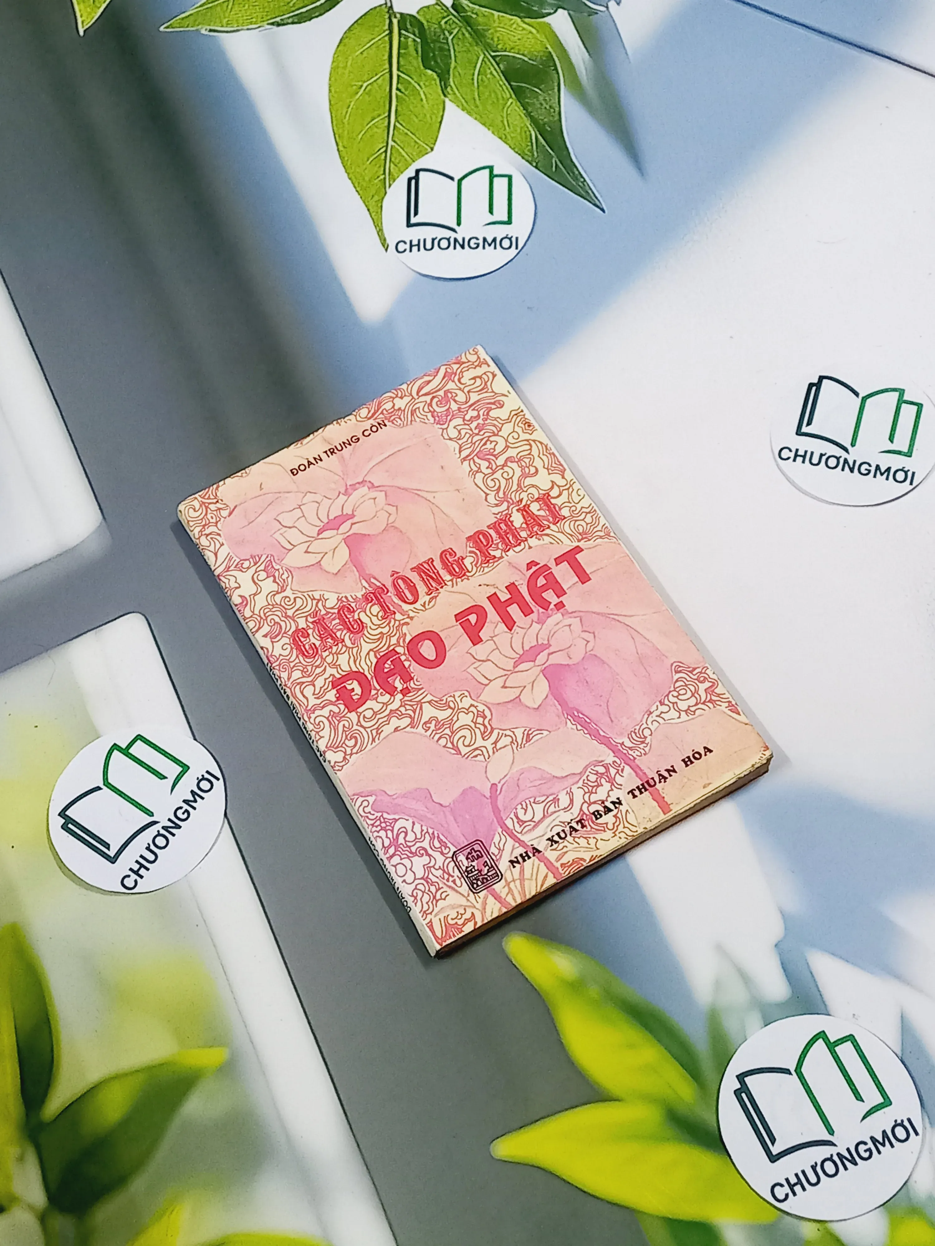 [XƯA] Các Tông Phái Đạo Phật (1995) - Đoàn Trung Còn