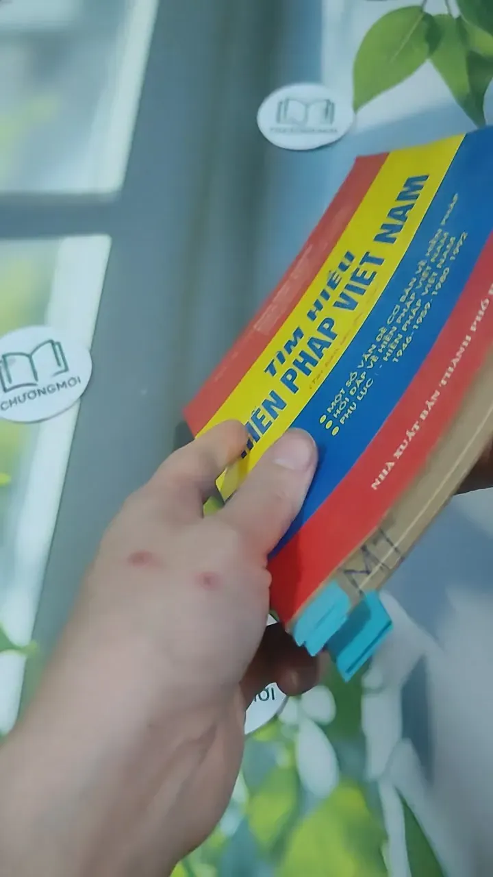 Tìm Hiểu Hiến Pháp Việt Nam - Phan Đình Khánh & Phạm Đức Bảo 727352