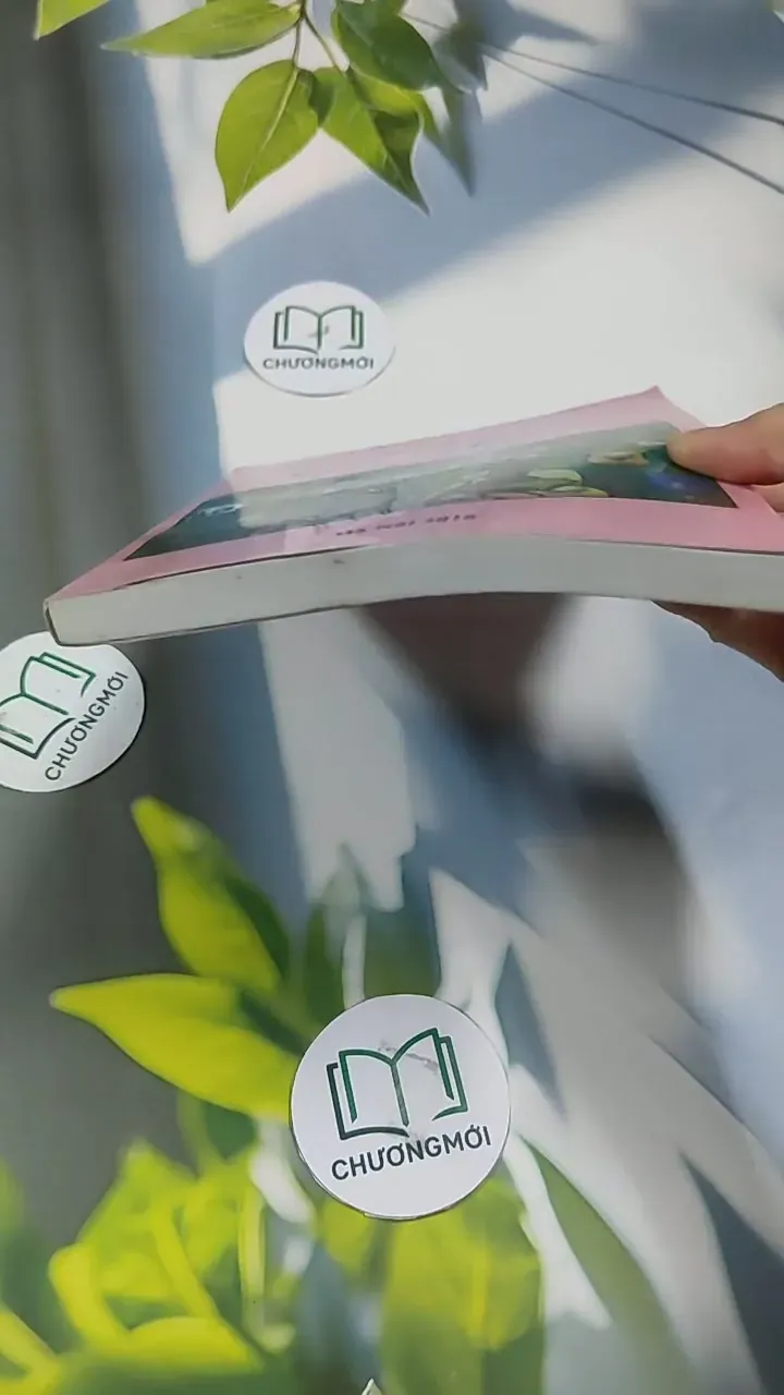 Vua Mèo - Đỗ Tuyết 707332