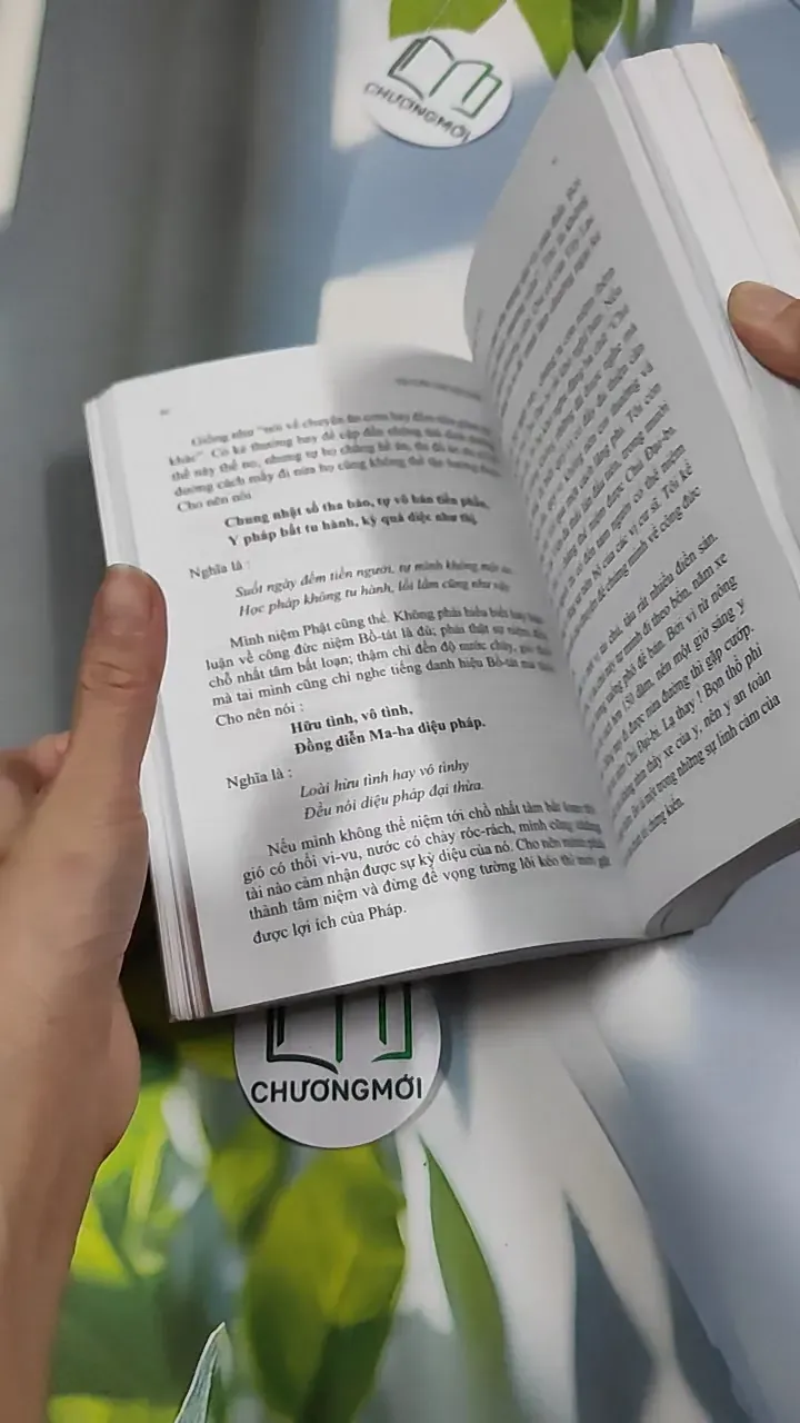 Vài câu chuyện Đạo (Song ngữ Việt - Pháp) 776202