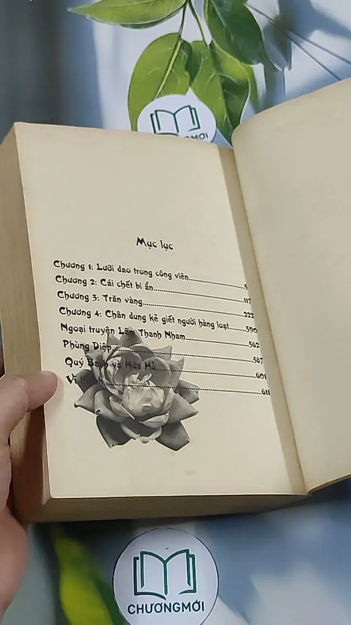 Nếu ốc sên có tình yêu - Đinh Mặc 688711