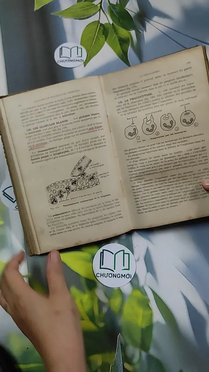 [MIỄN PHÍ BỌC SÁCH] Sciences Naturelles - Collectif 750826