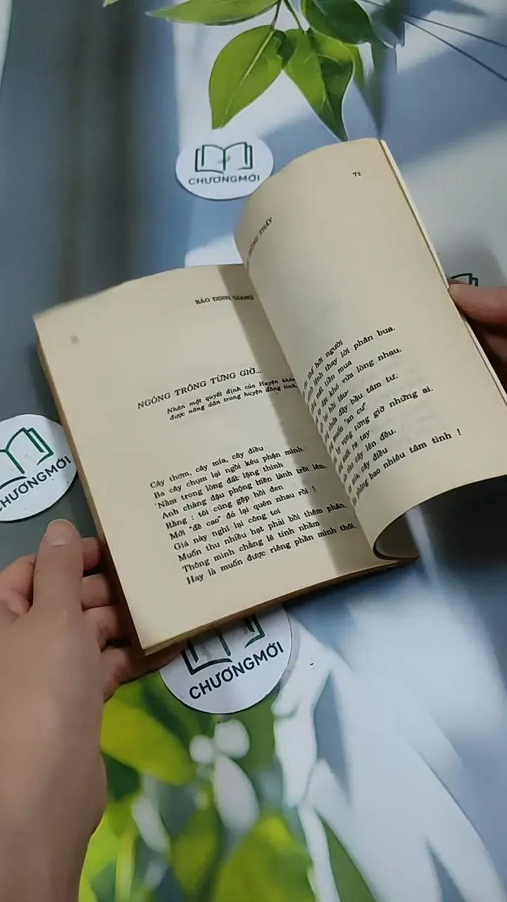 Những Điều Trông Thấy - Thơ  - Bảo Định Giang 713888