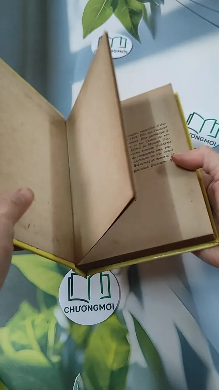 [MIỄN PHÍ BỌC SÁCH] La Petite Fadette - George Sand 749583