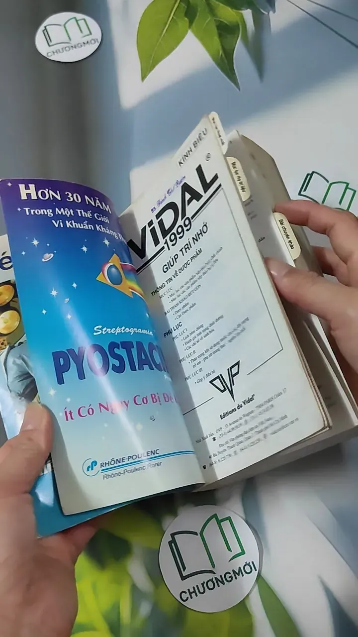 [MIỄN PHÍ BỌC SÁCH] [XƯA] Vidal Giúp Trí Nhớ 1999 (1999) 780901