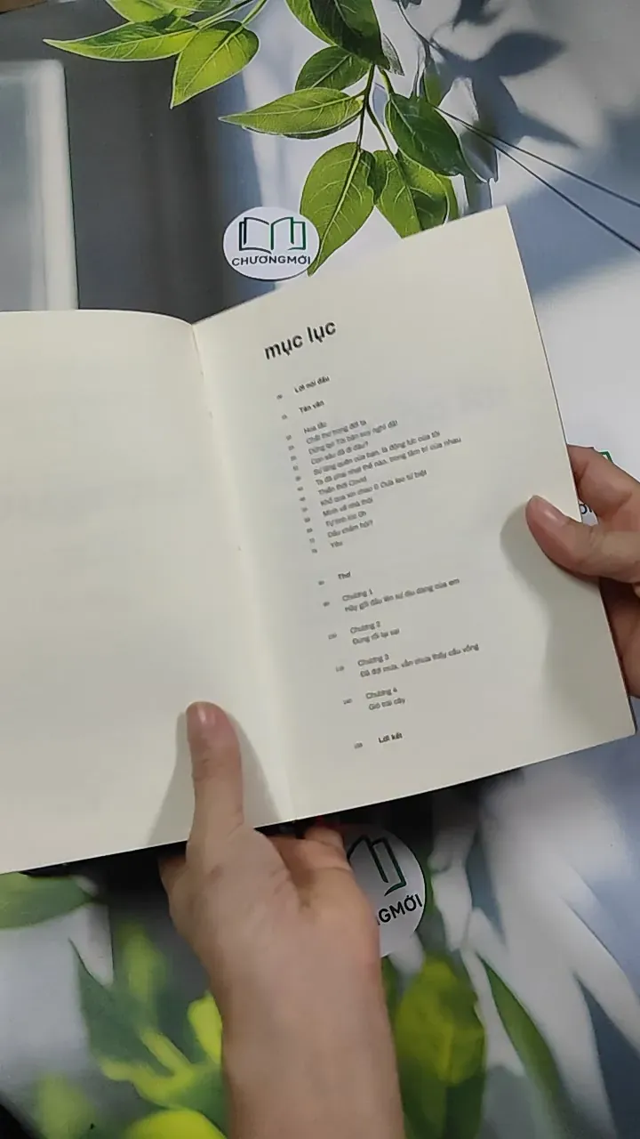 Giỏ Trái Cây - Liêu Hà Trinh 750811