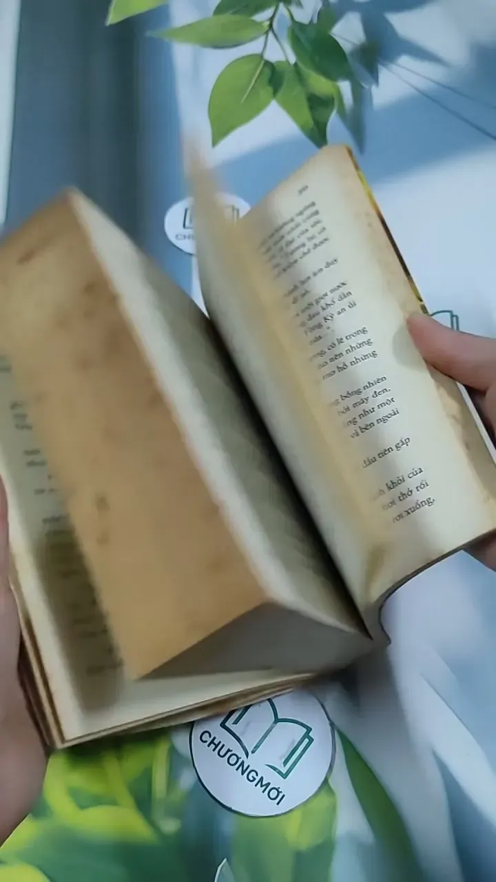 Hoa Nở Giữa Tháng Năm Cô Đơn - Sênh Lý 705743