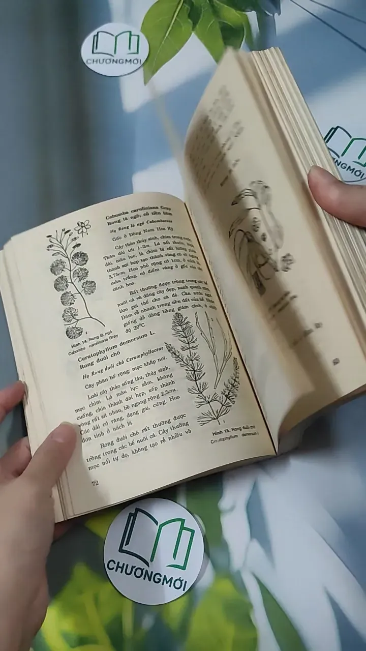 [MIỄN PHÍ BỌC SÁCH] [XƯA] Cá Cảnh (1993) - Võ Văn Chi 780866