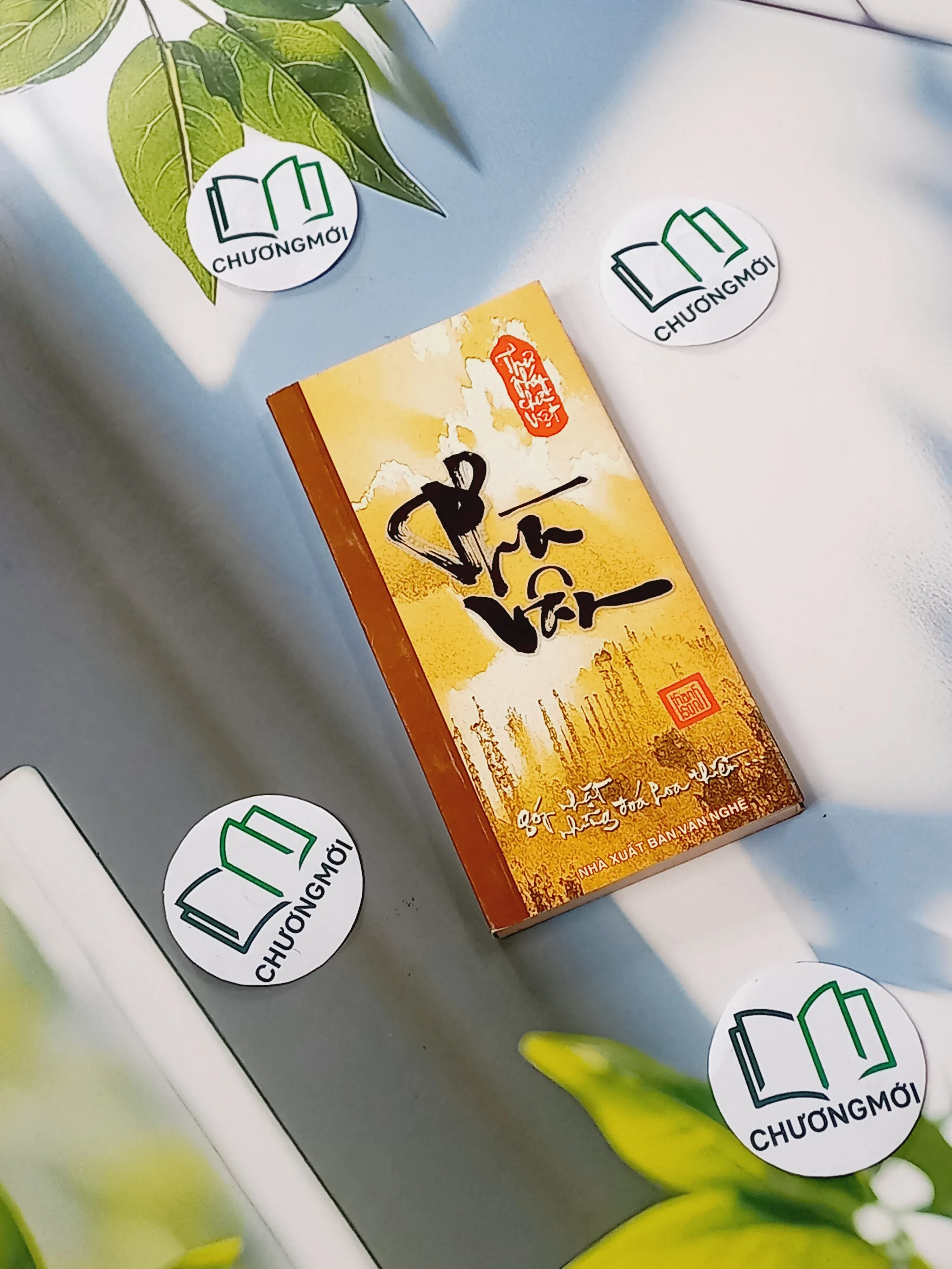 Phù Vân - Thư Pháp - Thanh Sơn