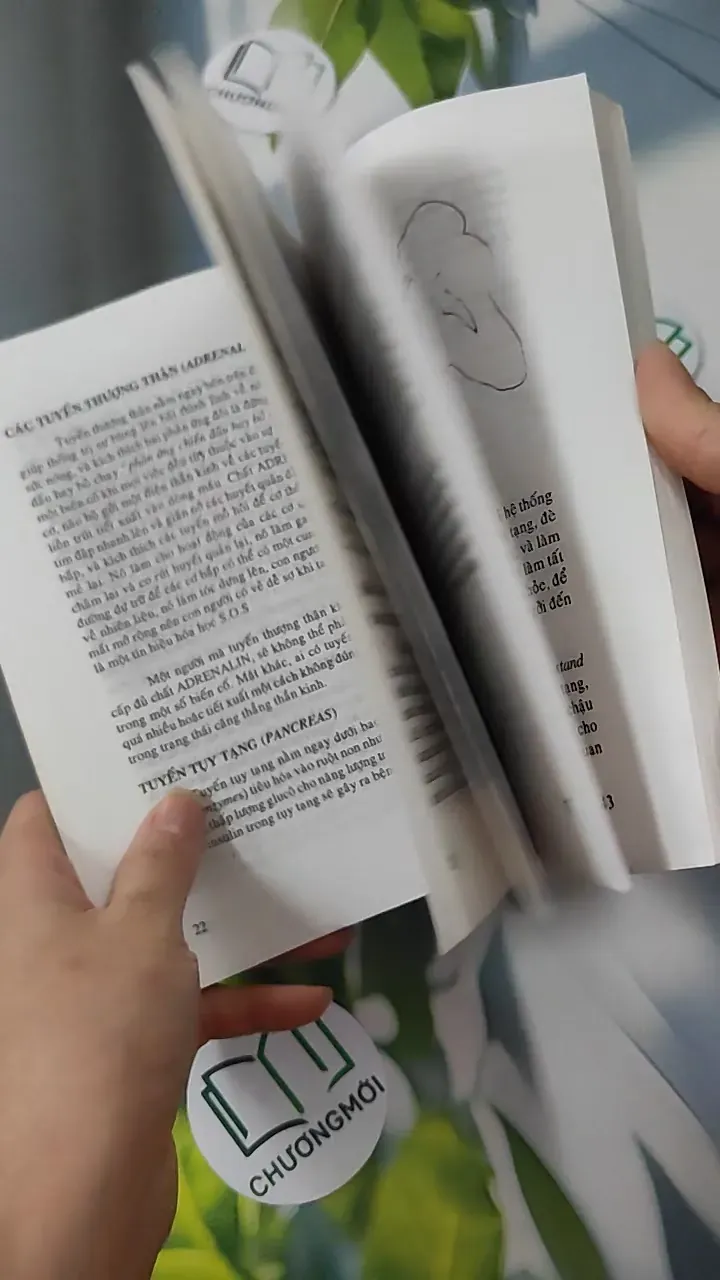 Yoga - Sức Khỏe Và Hạnh Phúc (Yoga - Sức Khỏe Và Hạnh Phúc) 780818