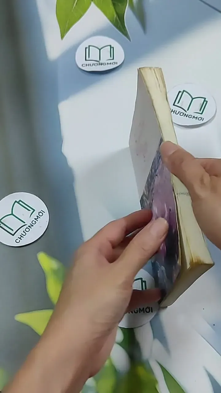 5 Centimet Trên Giây 703127