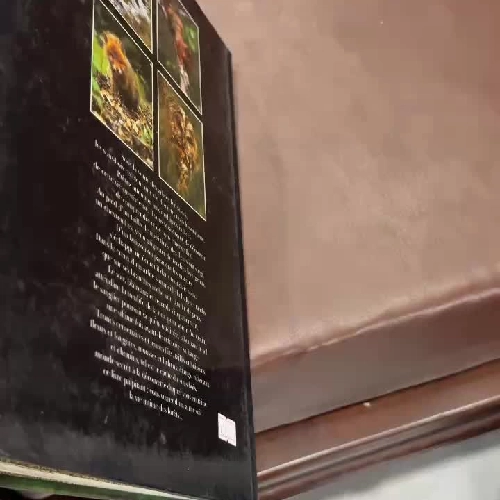 LA VIE CACHÉE DES SOUS-BOIS – CUỘC SỐNG ẨN MÌNH TRONG RỪNG | SÁCH ẢNH THIÊN NHIÊN PHÁP- K3