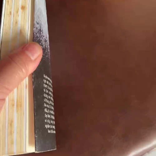 Duyên Nợ Thái Bình Dương – Nguyễn Phương Lan - K2