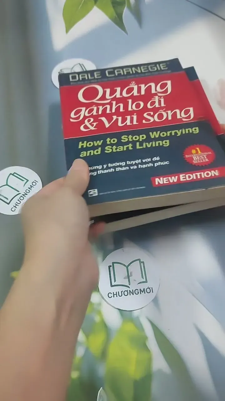 Combo: Quẳng Gánh Lo Đi & Vui Sống - Đắc Nhân Tâm - Dale Carnegie 715574
