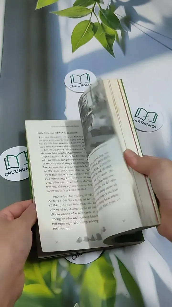 Phương Pháp Montessori - Nghệ Thuật Nuôi Dạy Trẻ Đỉnh Cao 705669