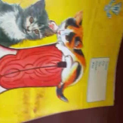 5 vở xưa cũ sưu tập 425984