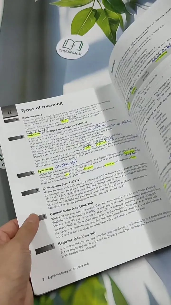 English Vocabulary In Use 713917