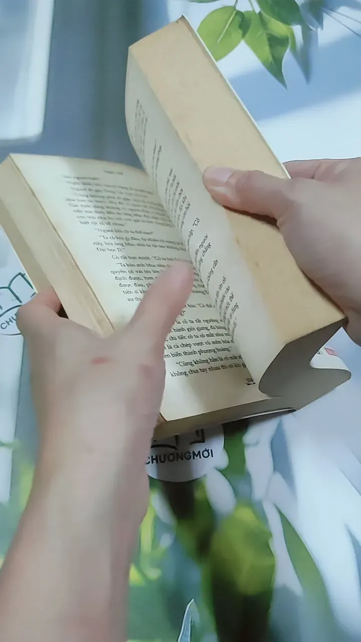 Cô Gái Tháng Sáu - Ngải Mễ 744738