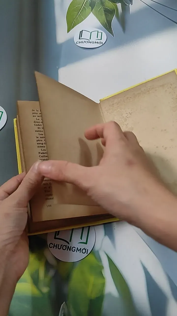 [MIỄN PHÍ BỌC SÁCH] La Petite Fadette - George Sand 749583