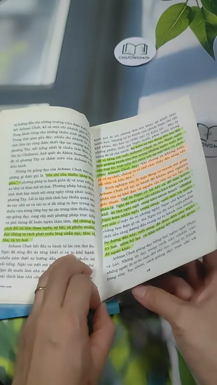 Tâm Tĩnh Lặng - Achaan Chah 727369