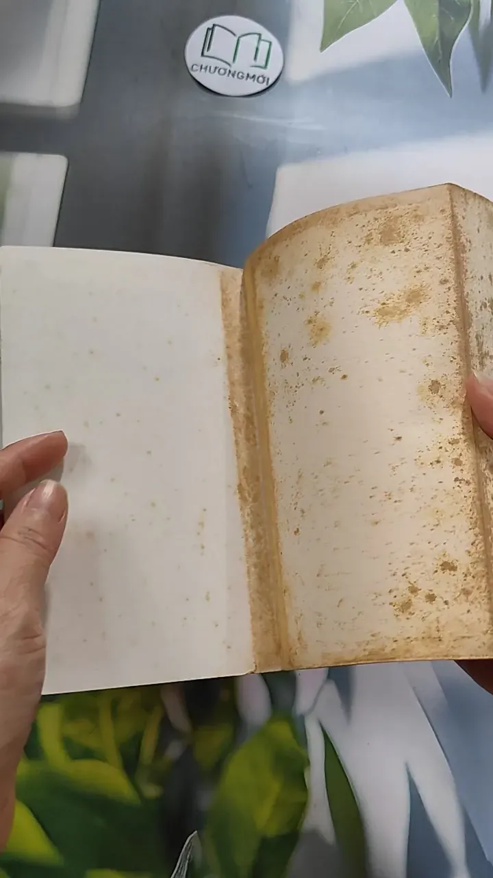 Une saison de machettes - Jean Hatzfeld 754481