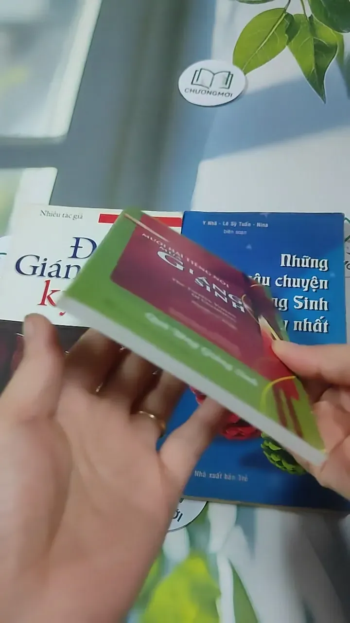 Combo Hạt Giống Tâm Hồn Quà Tặng Cuộc Sống: Giáng Sinh 727340