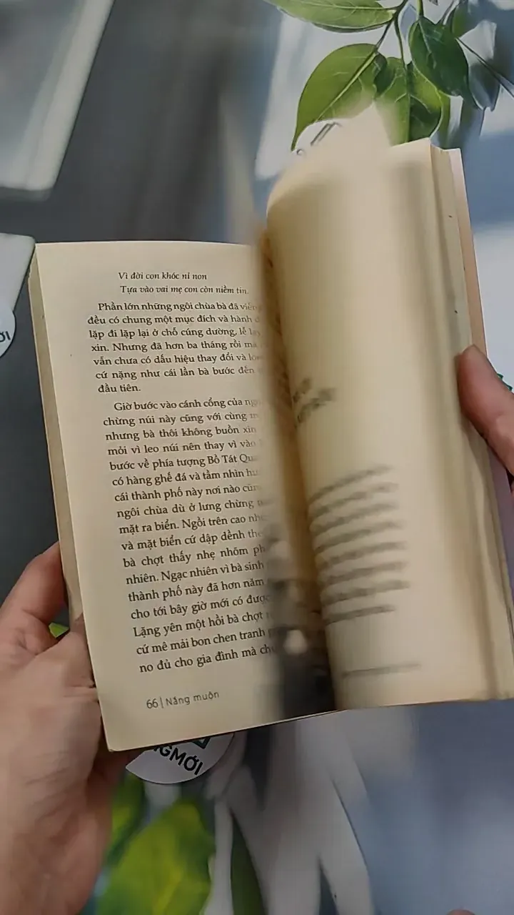 Nắng Muộn - Đậu Bảo 776107