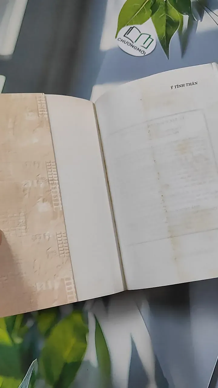 Ý Tình Thân - Thích Trí Siêu 776124