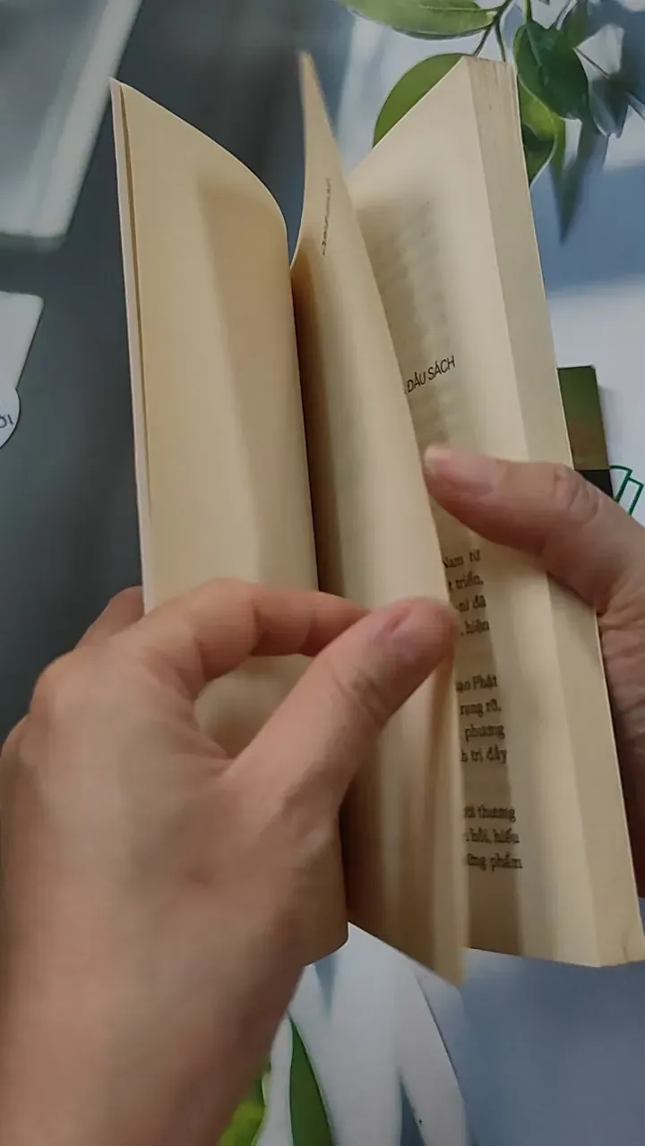 Combo: Chánh Tín Tam Bảo, Tam Quy Ngũ Giới 776104