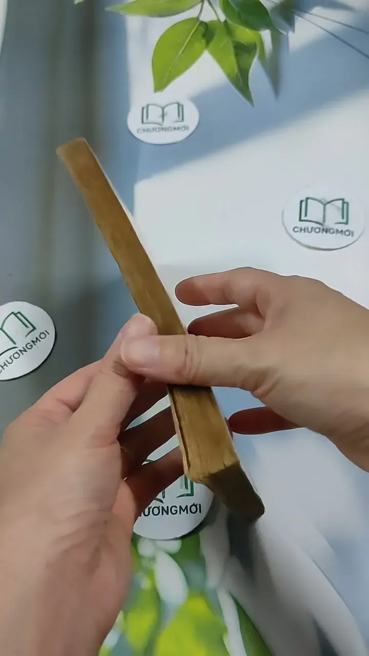 Nữ Sinh Nội Trú - Trần Áng Sơn 713865