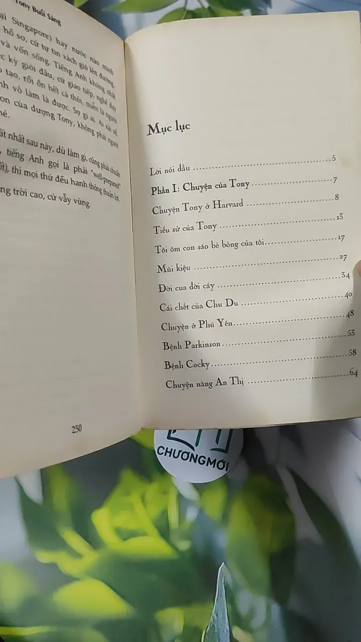 Cà Phê Cùng Tony - Tony Buổi Sáng 787081