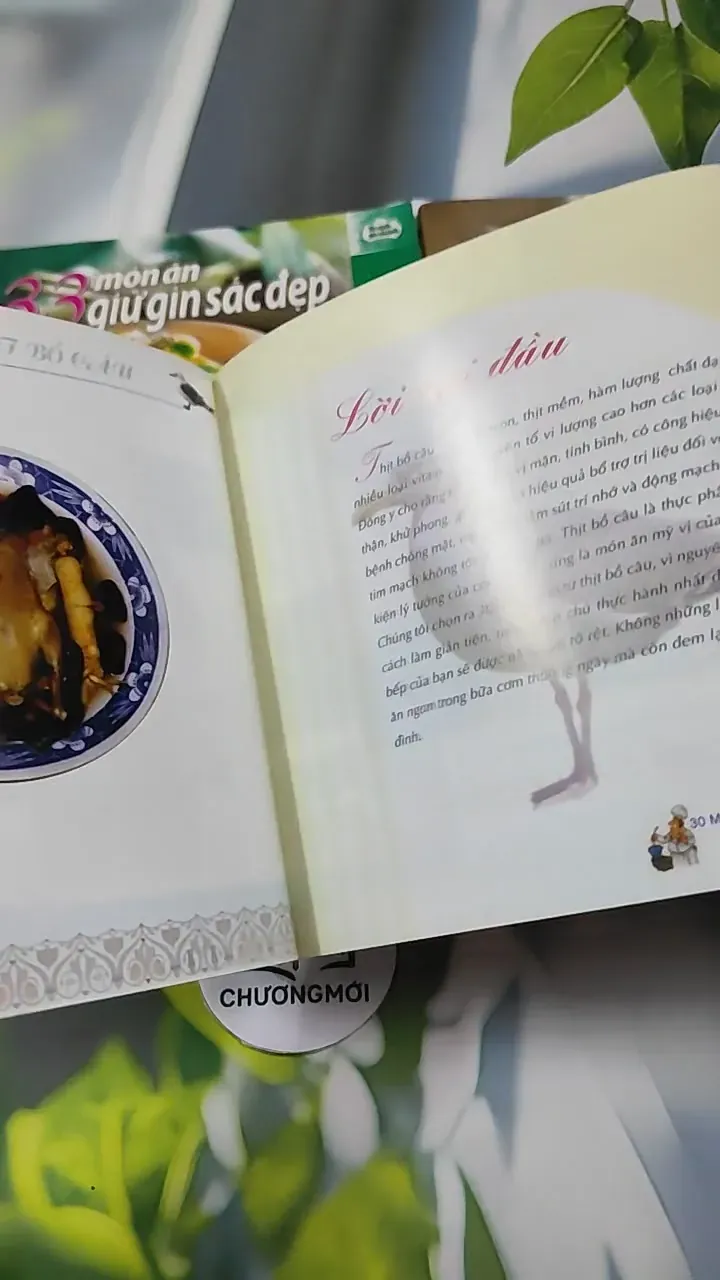 Combo Ẩm Thực: 30 Món Ngon Từ Thịt Bồ Câu,33 Món Ăn Giữ Gìn Sắc Đẹp, 30 Món Trà Làm Đẹp 727310