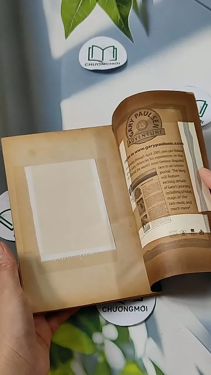 The River - Gary Paulsen 703097