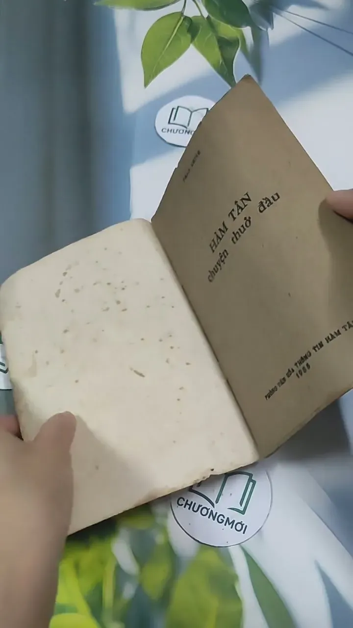 Hàm Tân Chuyện Thuở Đầu - Phan Chính 715685