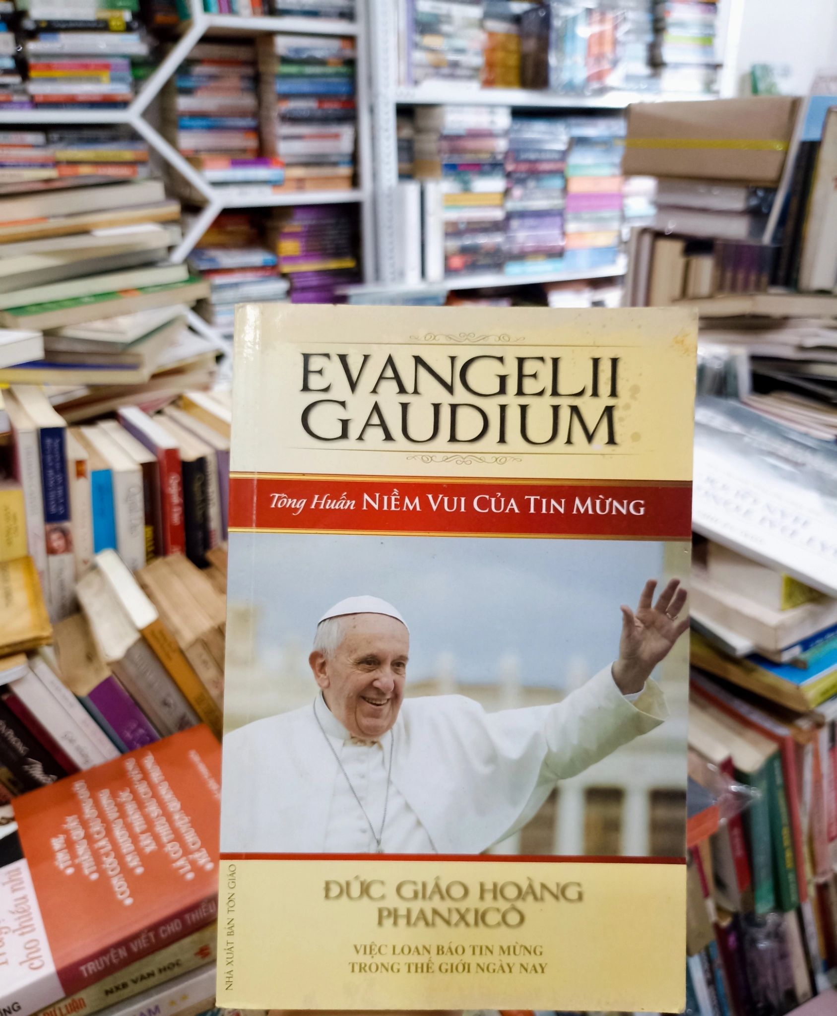 Tông Huấn - ĐGH Phanxicô 🌻 by Đức Giáo Hoàng Phanxicô - Sách Book Cover - Ngọc Hiển Books