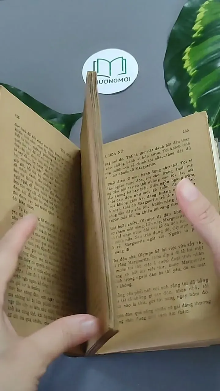 Trà Hoa Nữ 604659