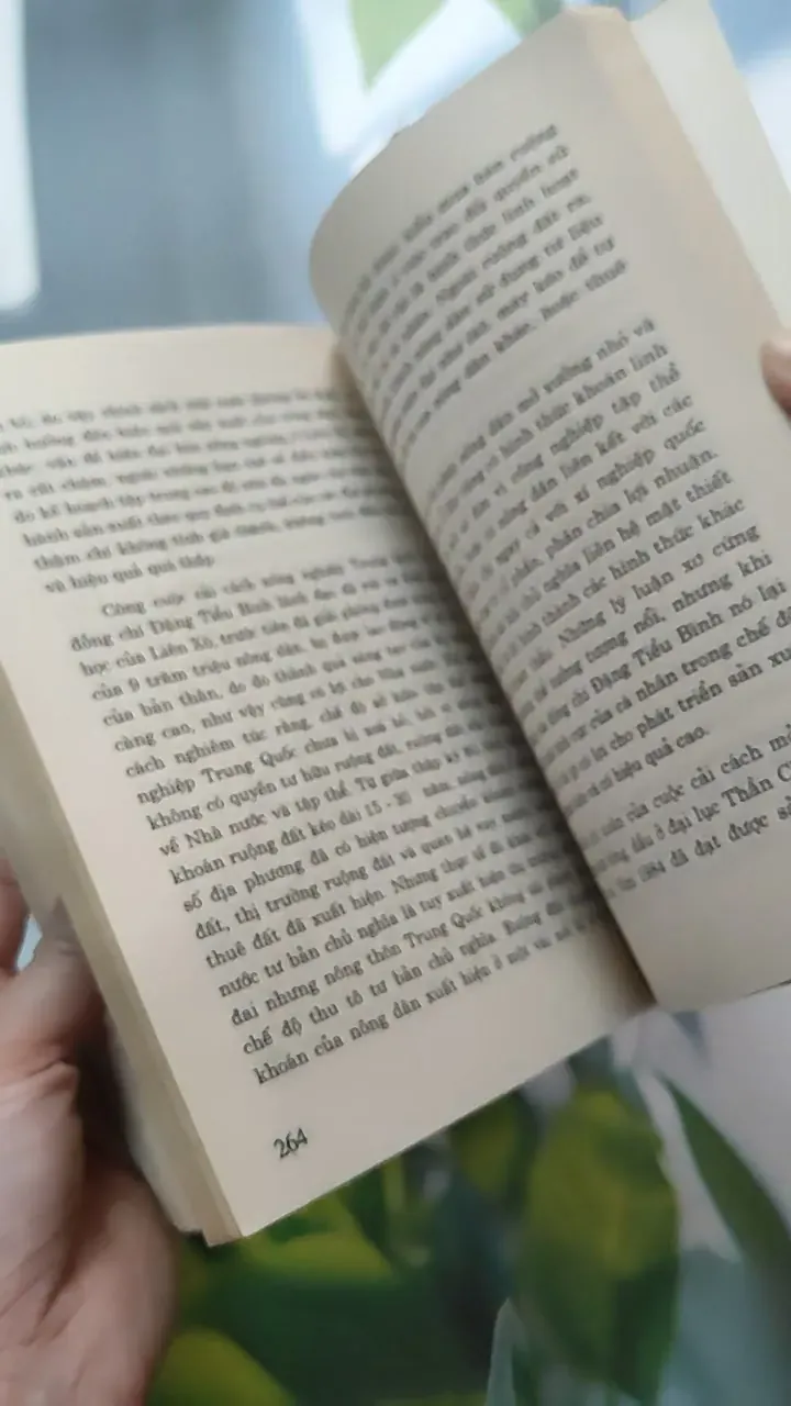 [XƯA] Đi Theo Con Đường Của Chính Mình - Thiết Kế Tổng Thể Về Hiện Đại Hoá Của Trung Quốc (1996) - Du Tân Thiên 787038