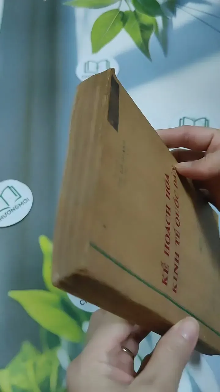 Kế Hoạch Hóa Kinh Tế Quốc Dân - Du Lô Giang 713884