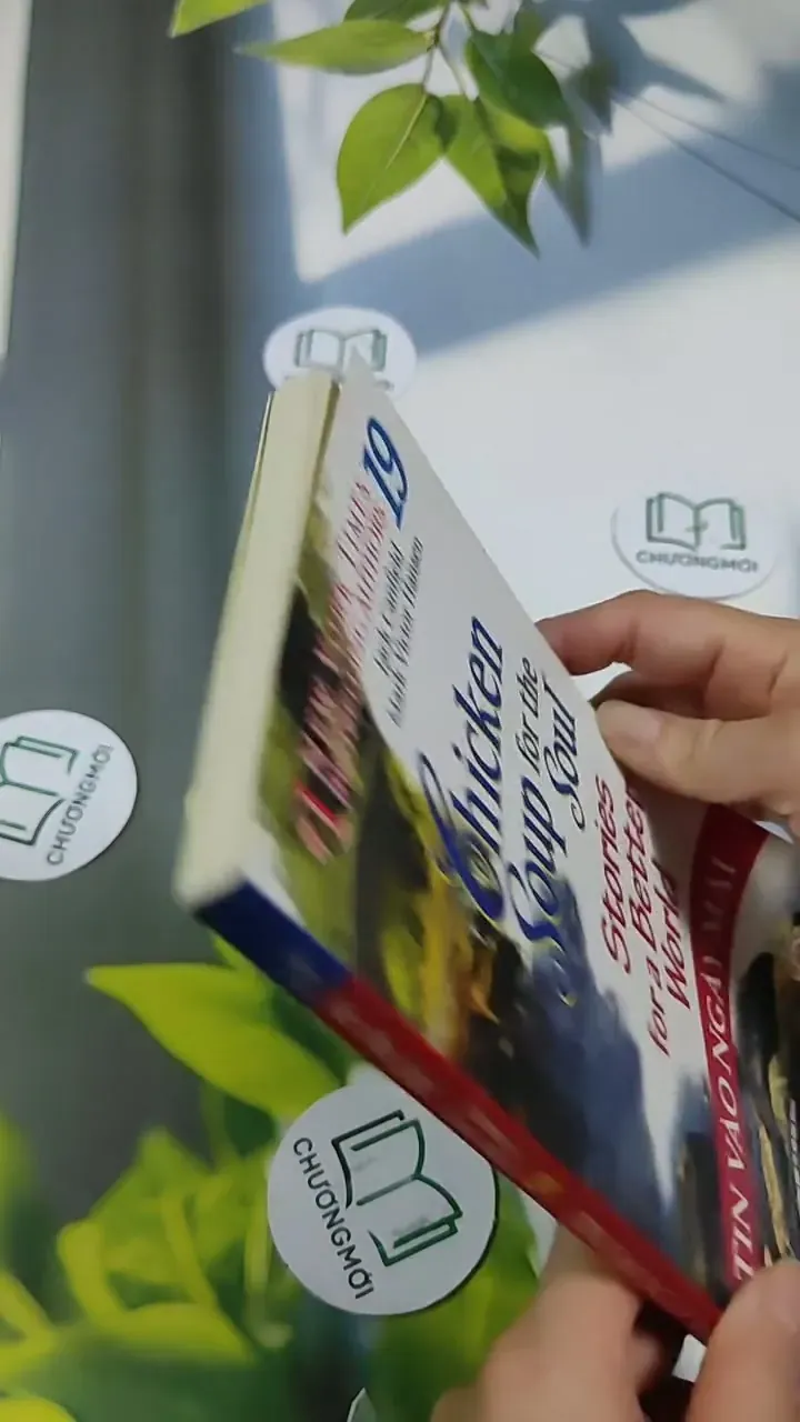 Chicken Soup For The Soul - 19: Tin Vào Ngày Mai 705751