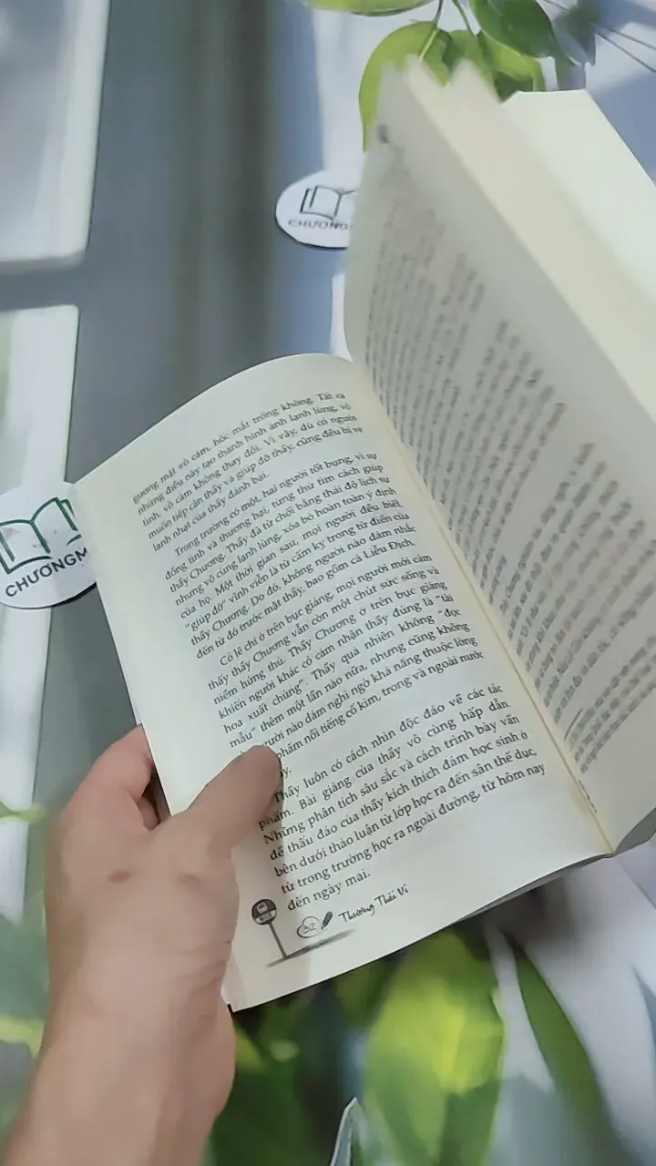 Bến Xe - Thương Thái Vi 744709