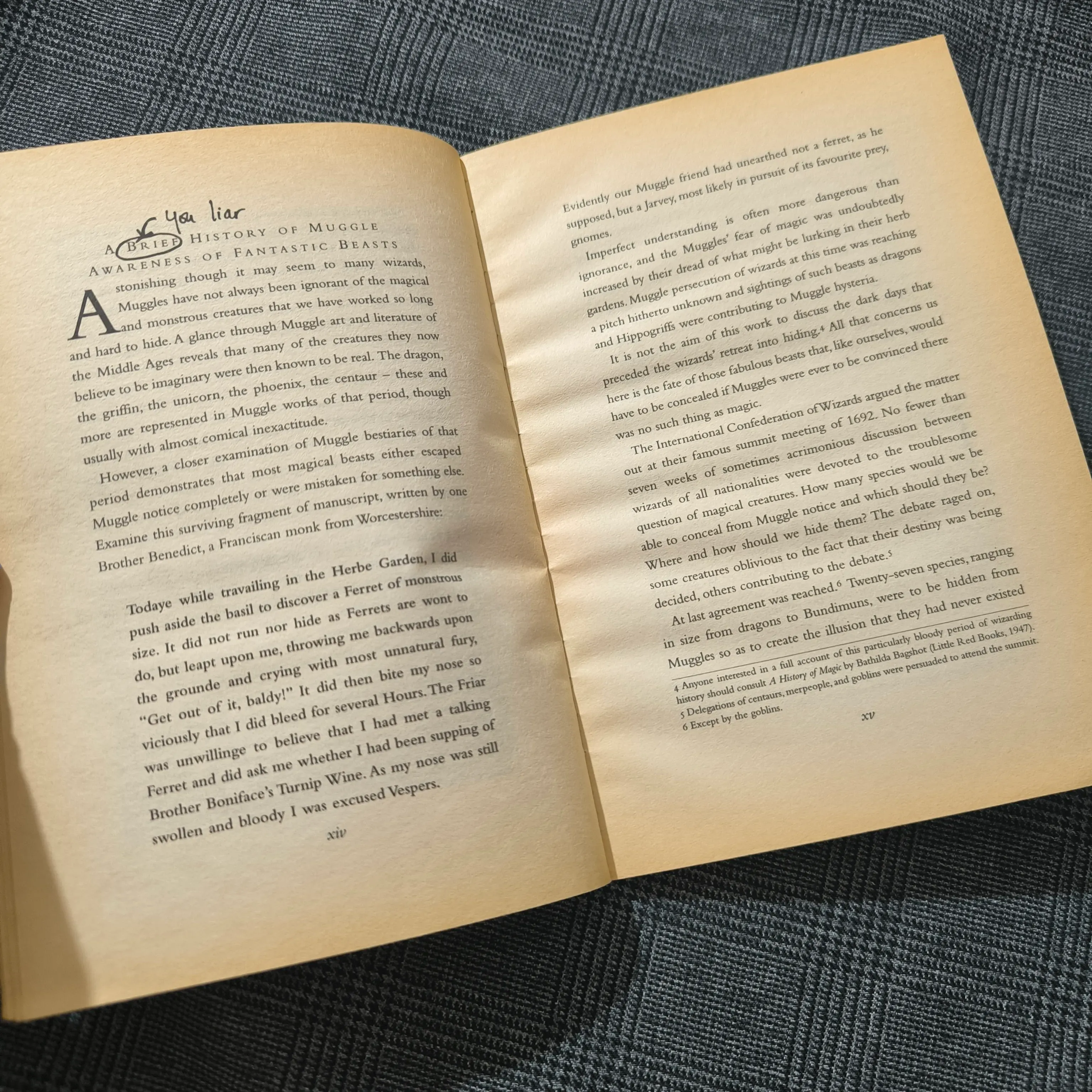 (Harry Potter) Fantastic Beasts & Where to find them - Newt Scamander 1005100