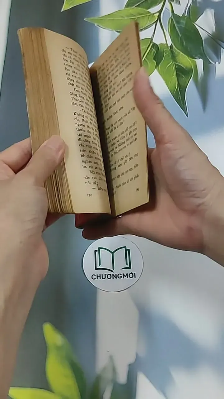 Chút Phận Linh Đinh (1996) - Hồ Biểu Chánh 674979