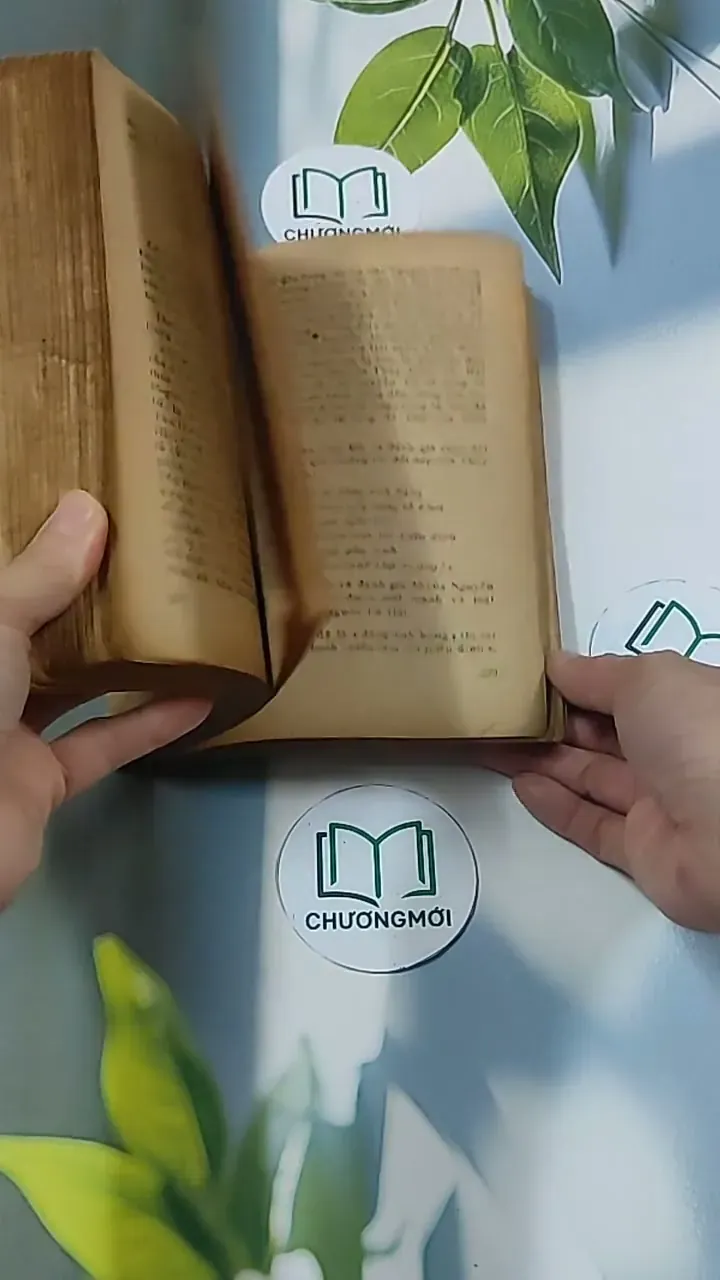 Nhận Thức và Thẩm Định (1983) - Đông Hoài 674969