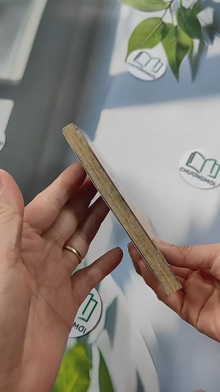 Nắng Muộn - Đậu Bảo 776107