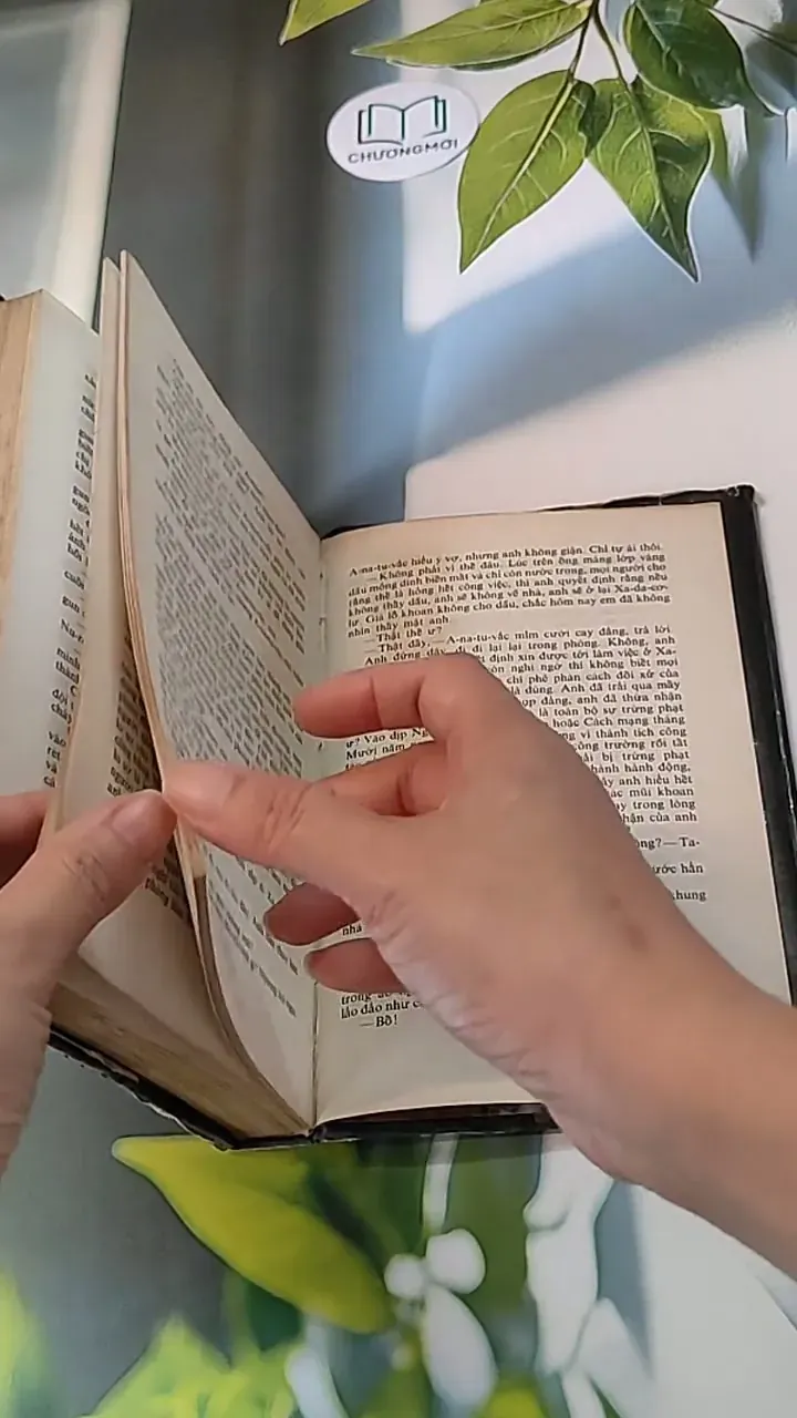 Nê-Bít-Đắc (1983) - Béc-dư Kéc-ba-ba-ep 607736