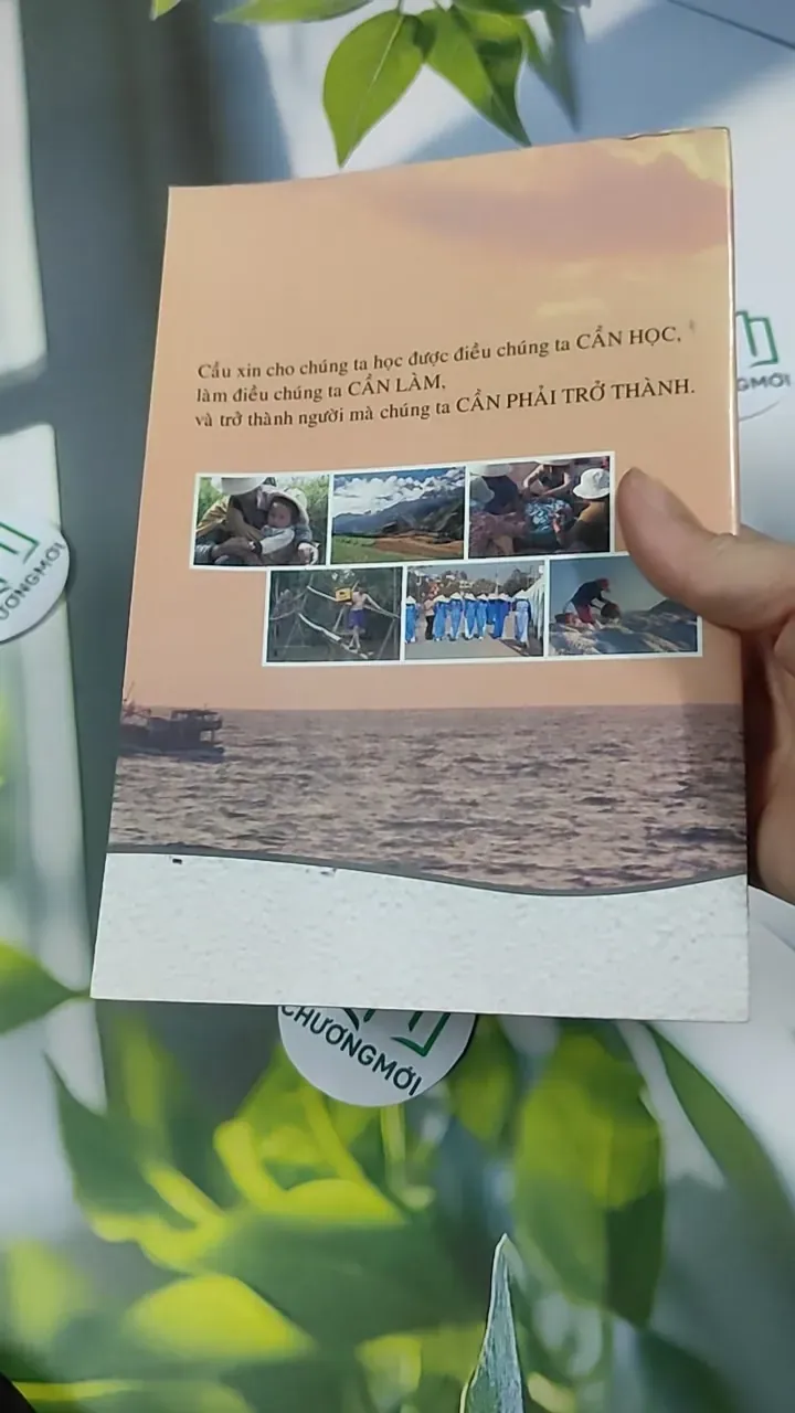 Bài Học Từ Cuộc Sống - Tổng Hợp 787130