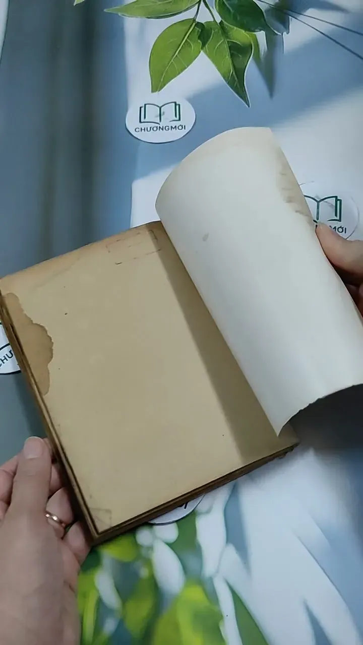 Khách Lạ Ở Thiên Đường - A.J. Cronin 713878