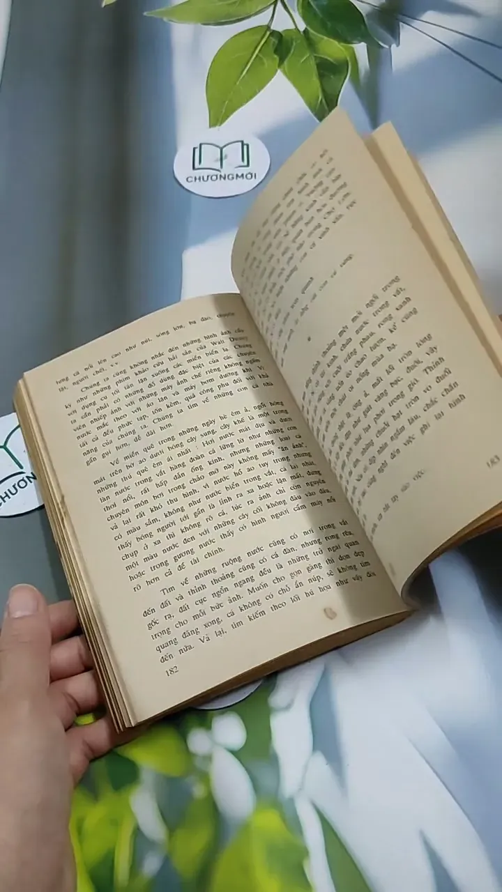 [MIỄN PHÍ BỌC SÁCH] Bước Đầu Nhiếp Ảnh Nghệ Thuật - Nguyễn Cao Đàm & Trần Cao Lĩnh 713882