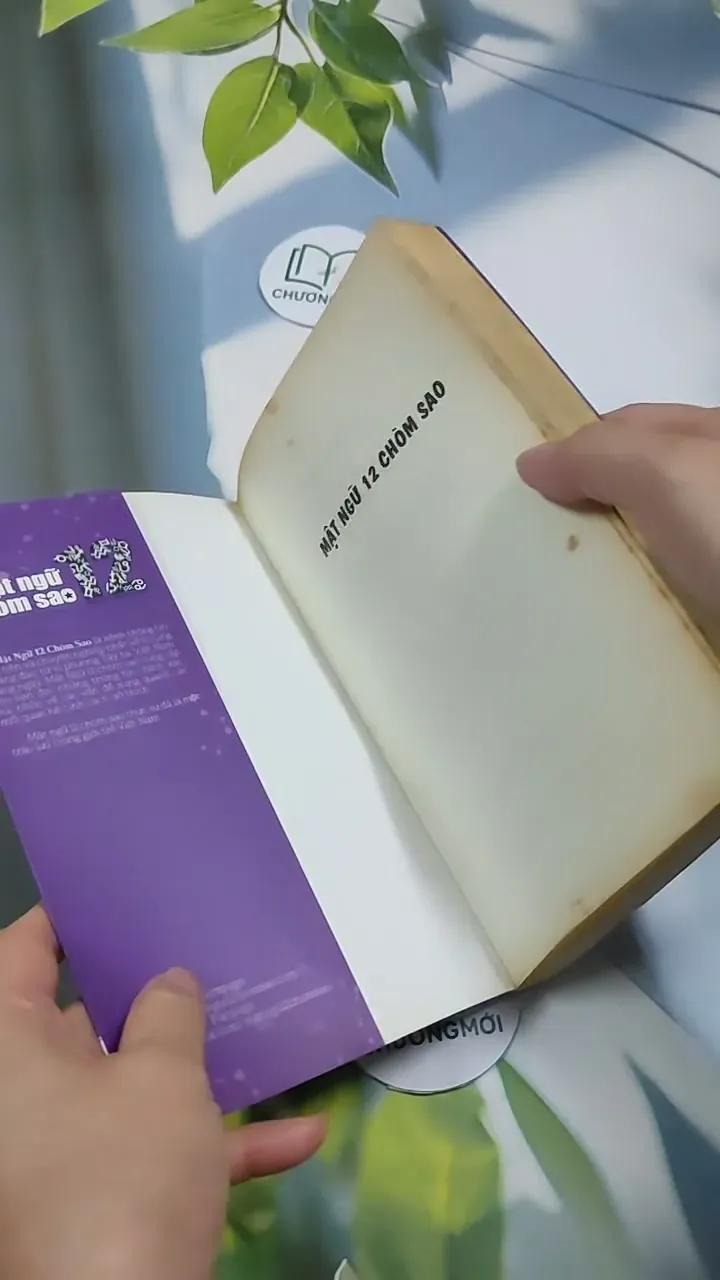 Mật Ngữ 12 Chòm Sao: Mật Ngữ Tình Yêu - MN12CS 707311