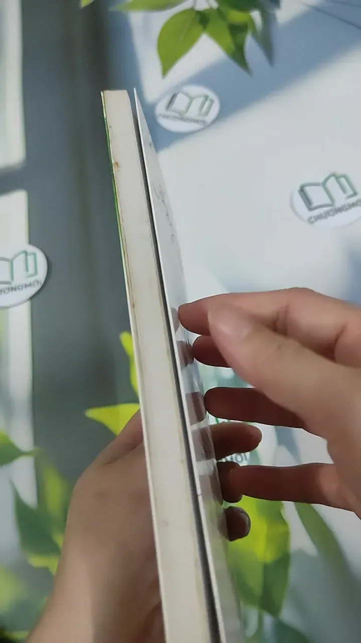 Sống Buông Bỏ Và Giải Thoát - Hugh Prather 787050